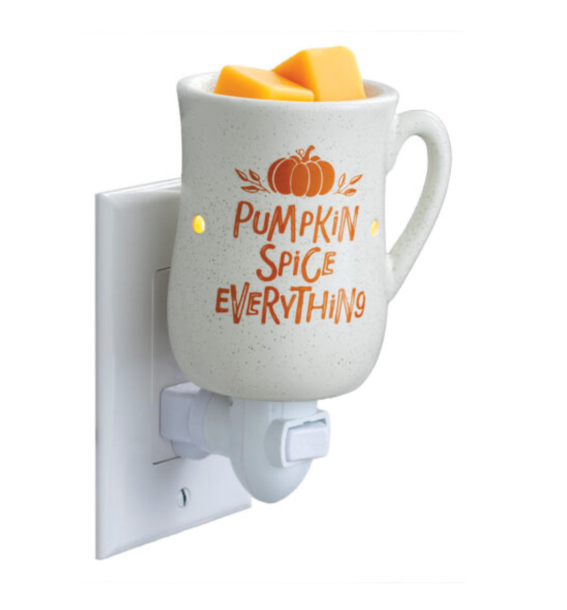 Pumpkin Spice Warmer