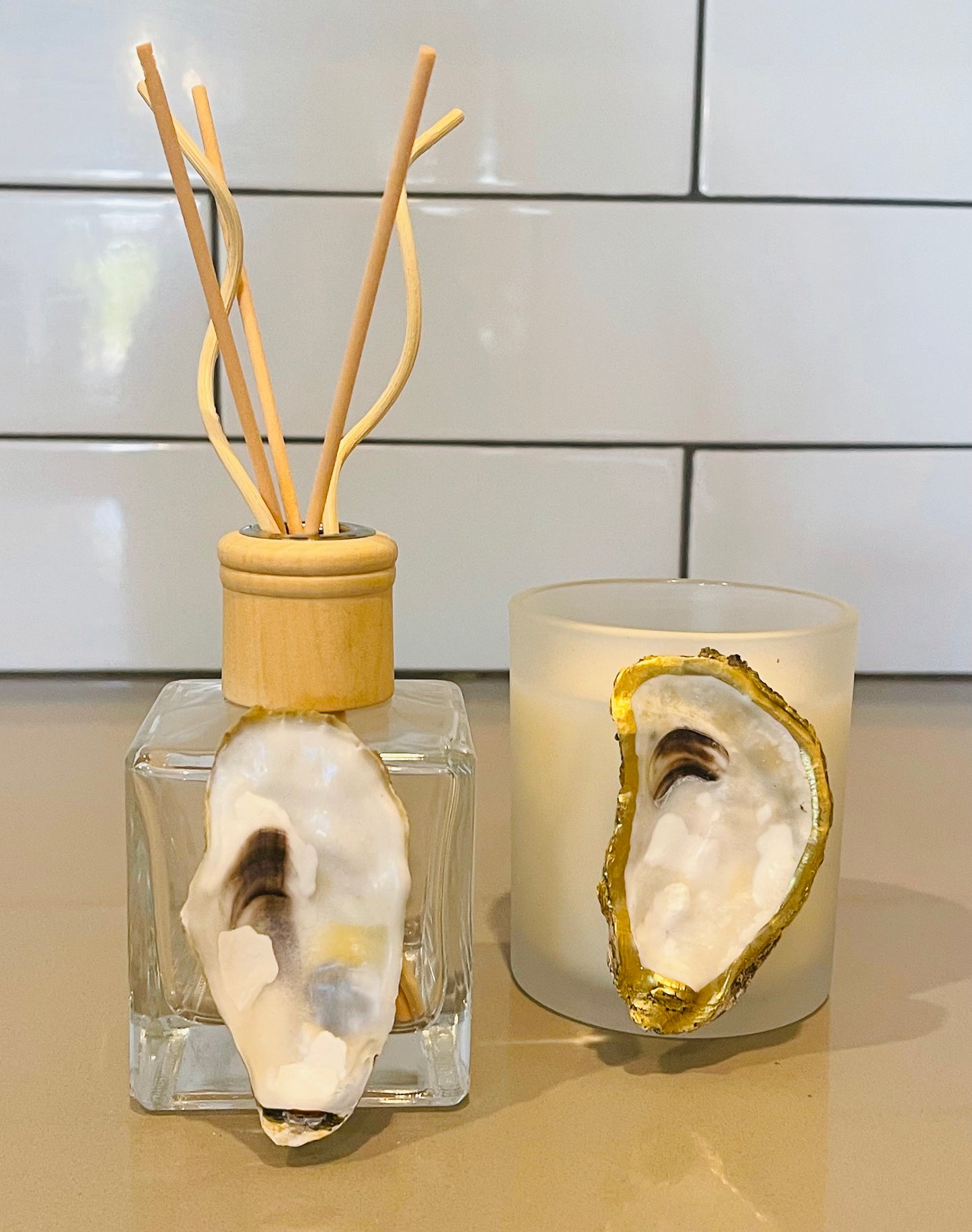 Reed Room Diffuser Adorned with Local Oyster Shell | Coastal Carolina Collection |