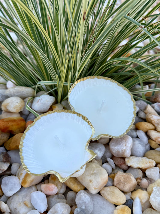 Scallop Shell Tea Light Candle