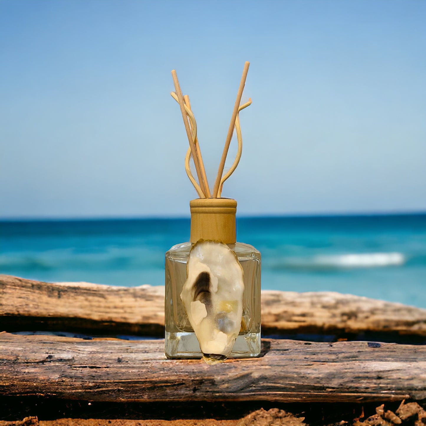 Reed Room Diffuser Adorned with Local Oyster Shell | Coastal Carolina Collection |