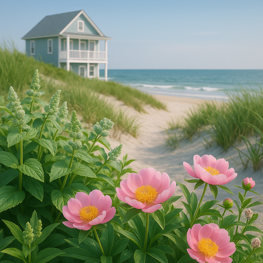 Beach House Soy Wax Melts