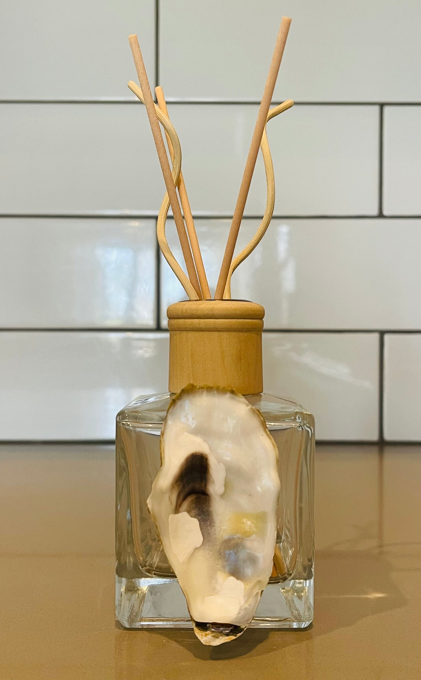 Coastal Carolina Collection | Reed Room Diffuser Adorned with Local Oyster Shell