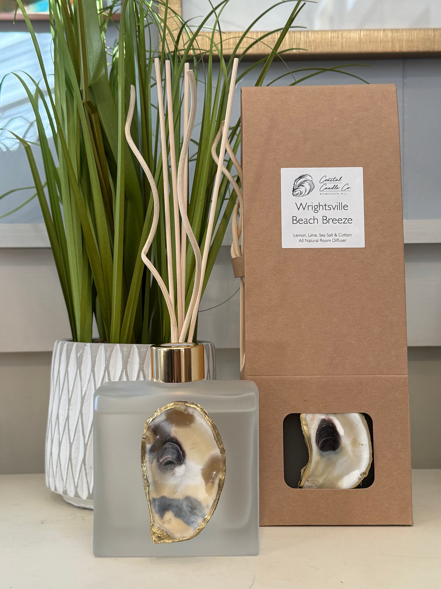 Room Diffuser Adorned with Local Oyster Shell | Choose Scent