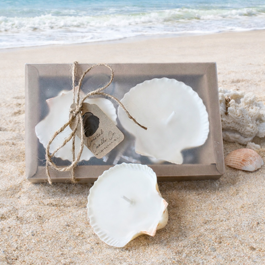 Scallop Shell Tea Light Candle Set