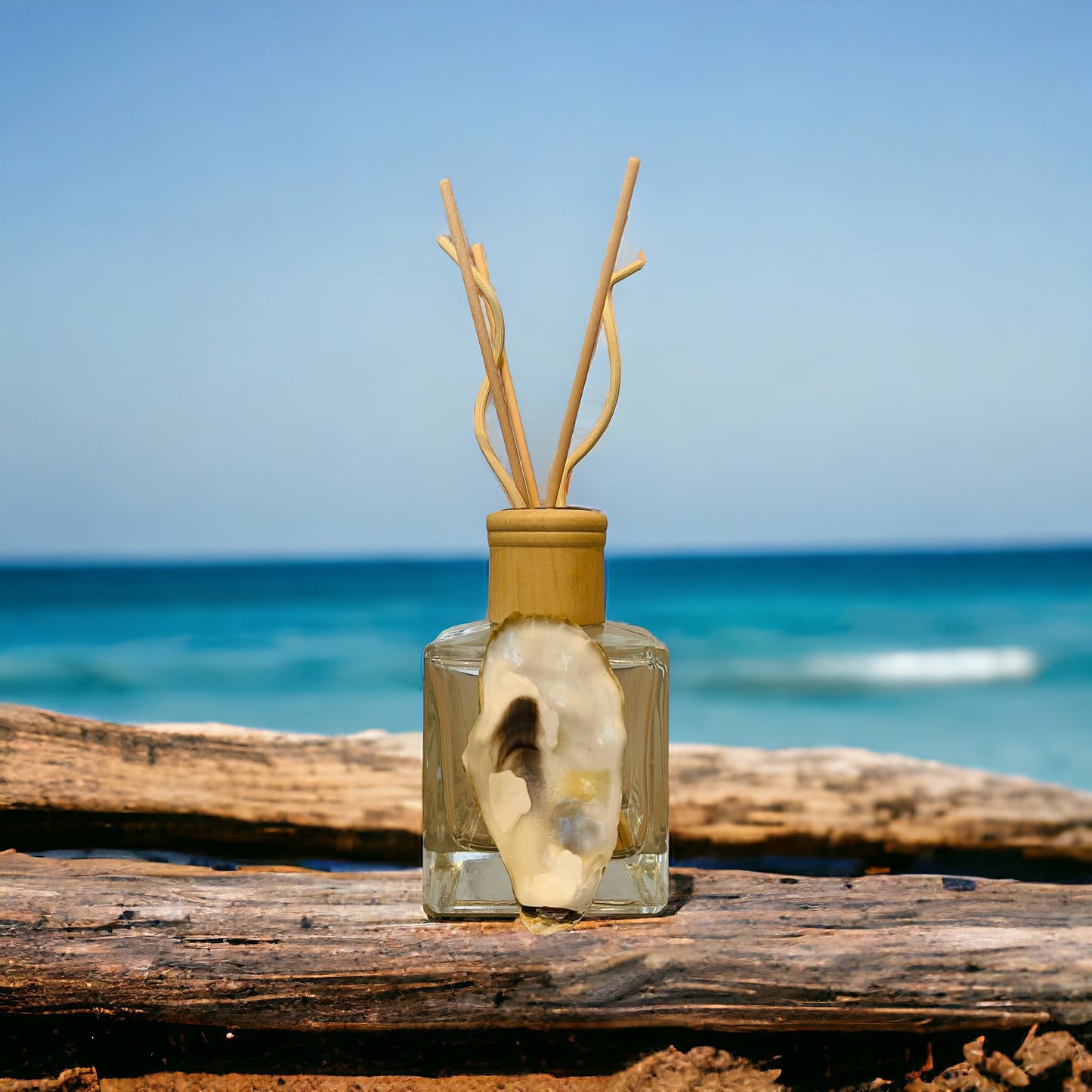 Coastal Carolina Collection | Reed Room Diffuser Adorned with Local Oyster Shell